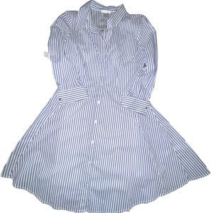 Venus Collared Shirt Dress Pinstripe A-line Sz 10 chic Polished Preppy Academia